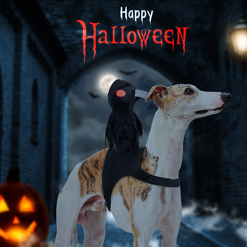 πΎ Black Pet Costume β Adjustable Halloween & Party Outfit for Dogs & Cats