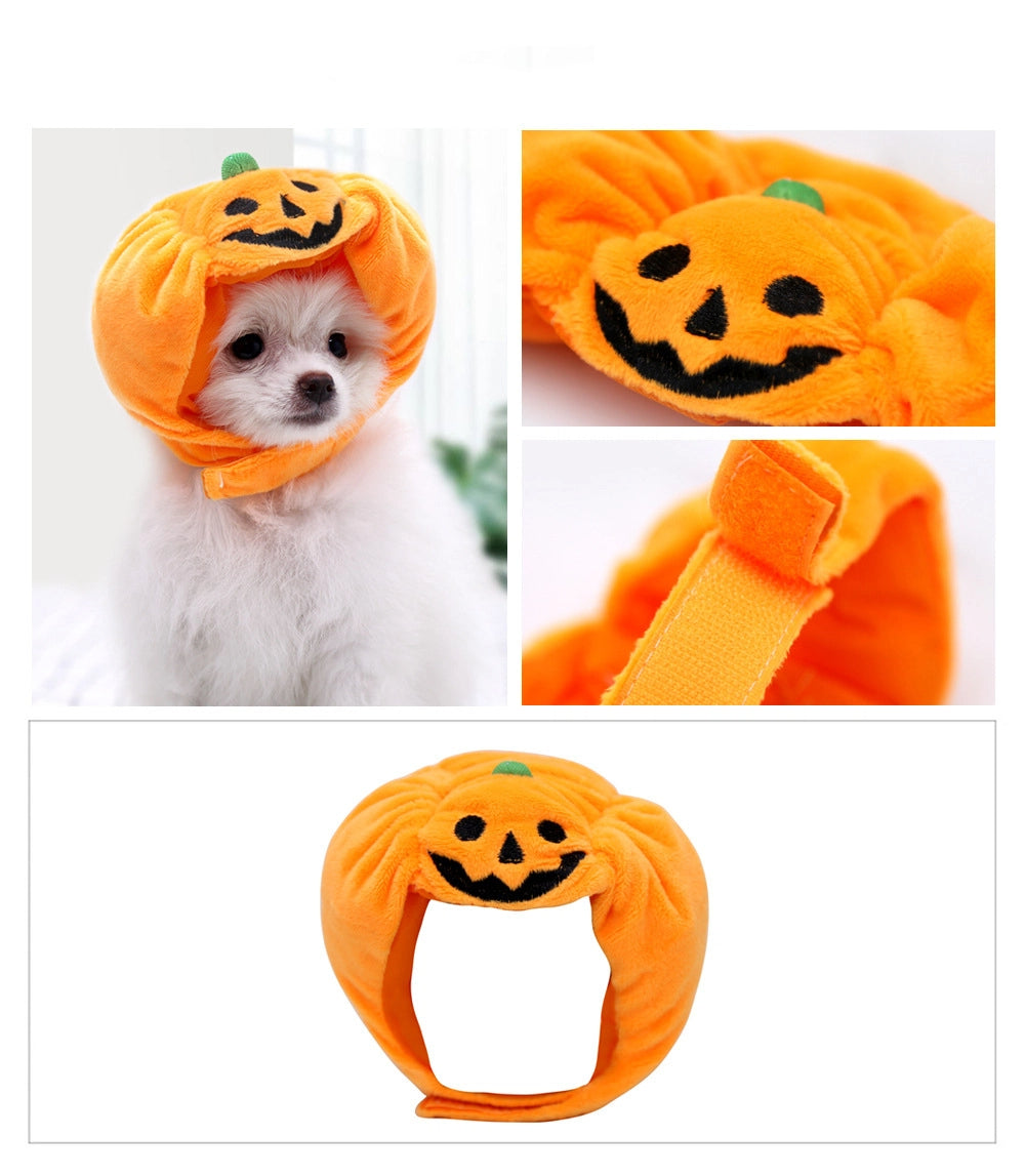๐ Halloween Pumpkin Pet Hat โ Adjustable Costume for Cats & Dogs