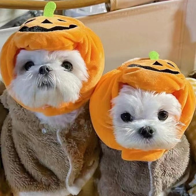 🎃 Halloween Pumpkin Pet Hat – Adjustable Costume for Cats & Dogs