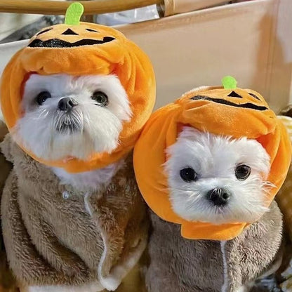 🎃 Halloween Pumpkin Pet Hat – Adjustable Costume for Cats & Dogs