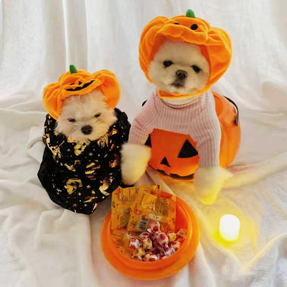 🎃 Halloween Pumpkin Pet Hat – Adjustable Costume for Cats & Dogs