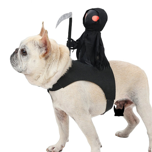 🐾 Black Pet Costume – Adjustable Halloween & Party Outfit for Dogs & Cats